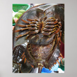 Póster Comida asiática tailandesa em ferradura da rua do
