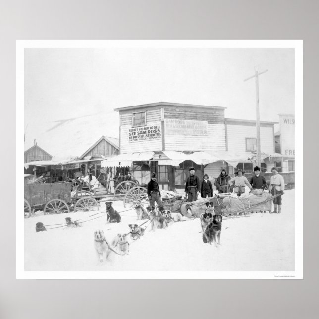 Póster Comida de cães no Alasca 1924 (Frente)