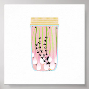 Poster Comida de latas - Cebolas de Primavera