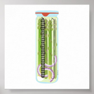 Poster Comida de latas - Espargo picado