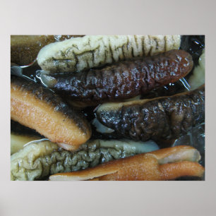 Póster Comida do mercado de Yaowarat do pepino de mar…