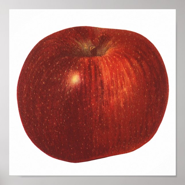 Poster Comida Vintage, Fruta Vermelha orgânica, Apple del (Frente)