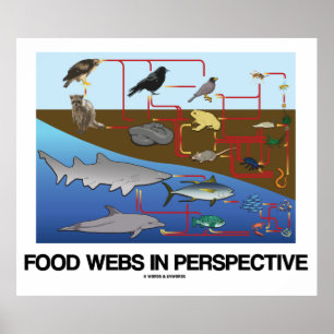 Póster Comidas Em Perspectiva (Biologia Oceânica/Terrestr