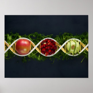 Poster COMIDAS OGM e culturas geneticamente modificadas