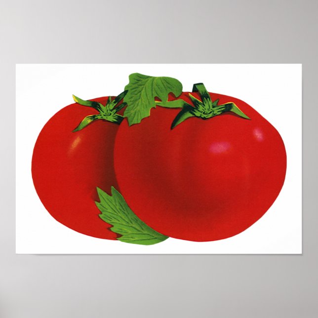 Poster Comidas, Tomate De Herança De Estopa Orgânica, Ver (Frente)