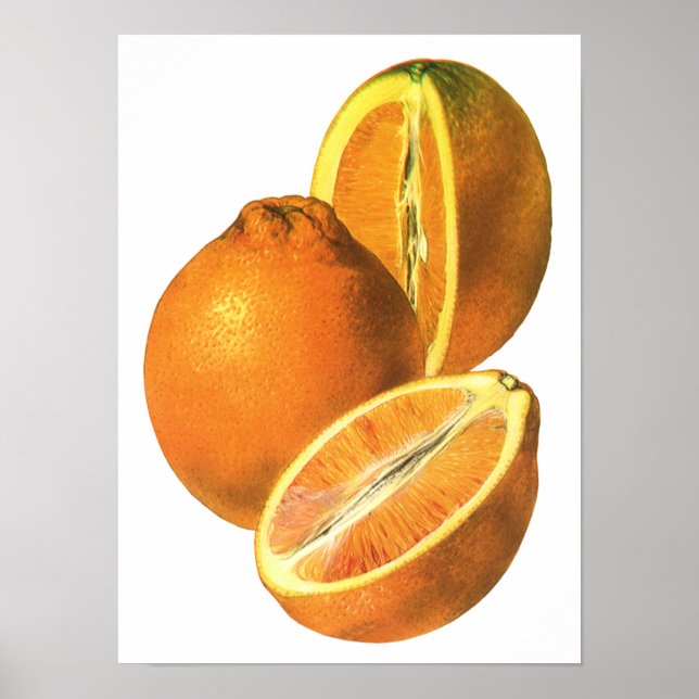 Poster Comidas Vintage, Laranjas frescas e orgânicas Frut (Frente)