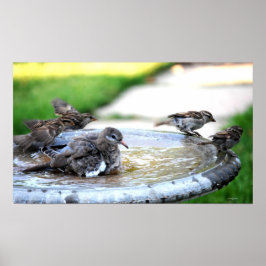 Póster Communal Bath