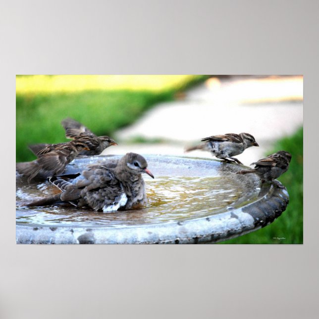 Póster Communal Bath (Frente)