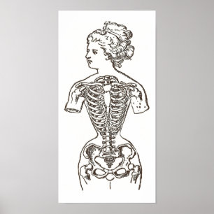 Póster Como as mulheres sofrem pela beleza: o impacto dos