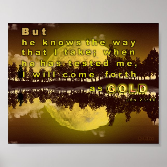 Póster Como Dourado (Frente)