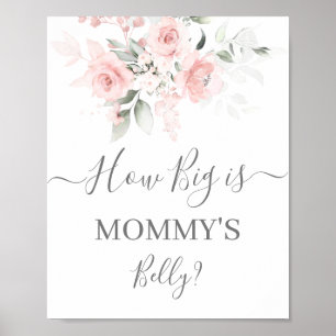 Poster Como é Grande o Sinal de Belly de Mamãe