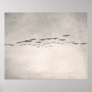 Poster "como eles confiam"