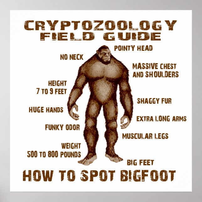 Póster COMO ENVIAR BIGFOT - Guia de Campo de Criptozoolog (Frente)