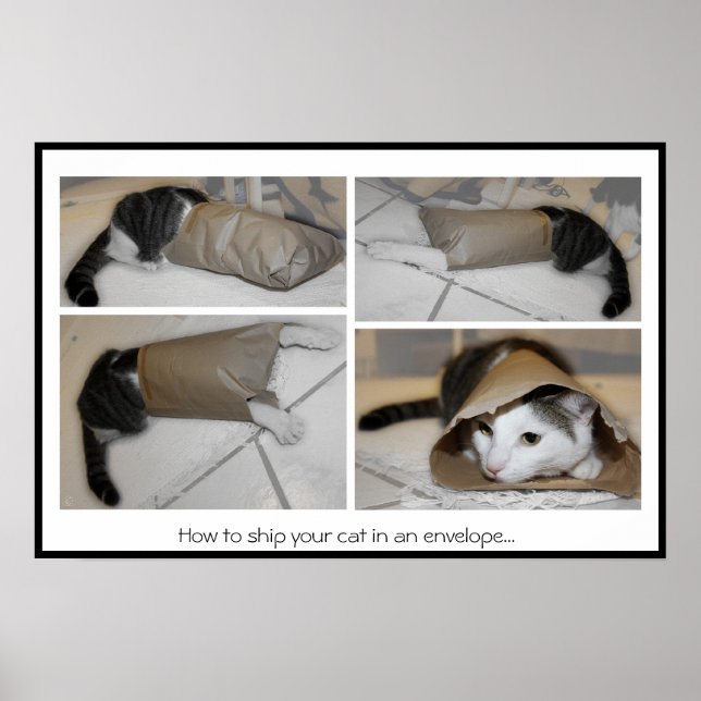 Póster Como enviar seu gato em um envelope...impressão en (Frente)