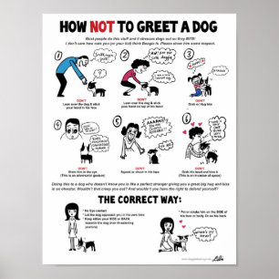 Póster Como não cumprimentar um cão (11" x 14")