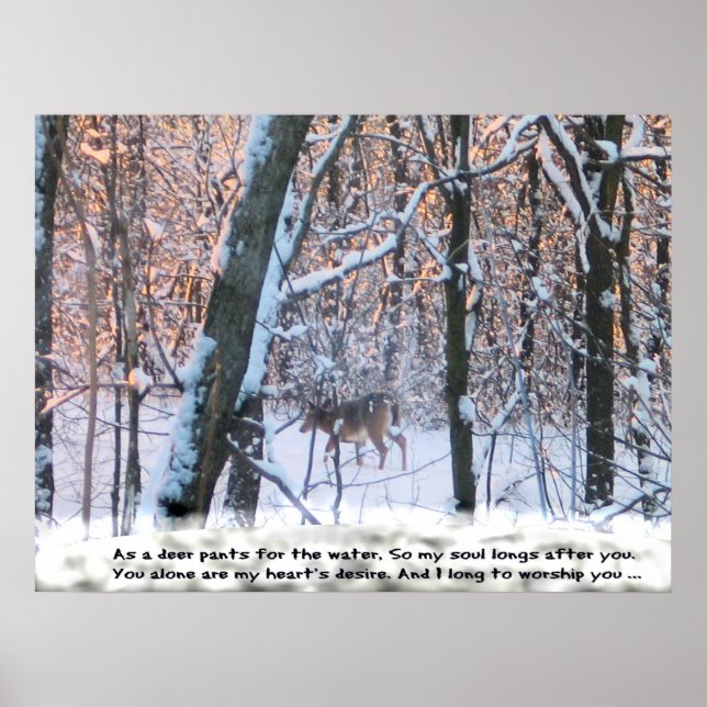 Poster Como o Deer Pants for the Water.. (Frente)