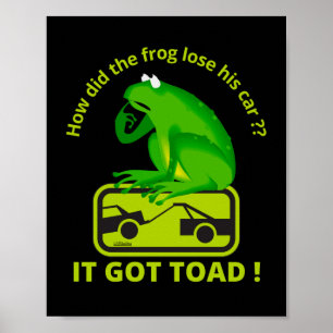 POSTER COMO O SAPO PERDER O CARRO DELE? FOI DORMIDO!