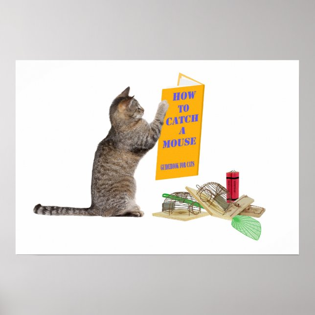 Póster Como pegar um mouse (Frente)