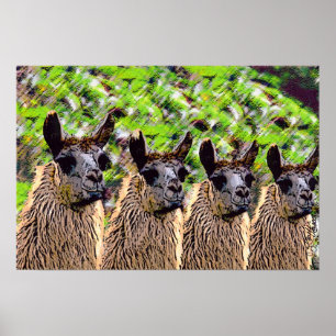 Poster Como se lama?