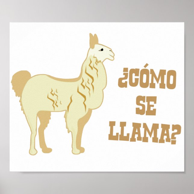 Poster Como Se Llama? Qual é o seu nome? (Frente)