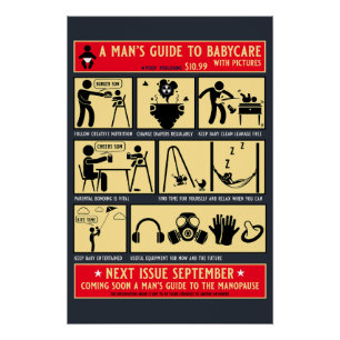 Póster Como ser um guia de Pai