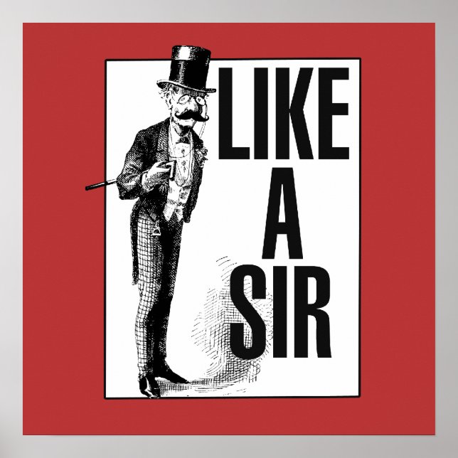 Poster Como um SIR (Frente)