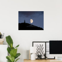 Companheiro do solitário