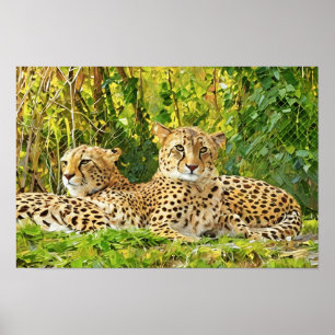 Poster Companheiros Chita - Descansando na Natureza"