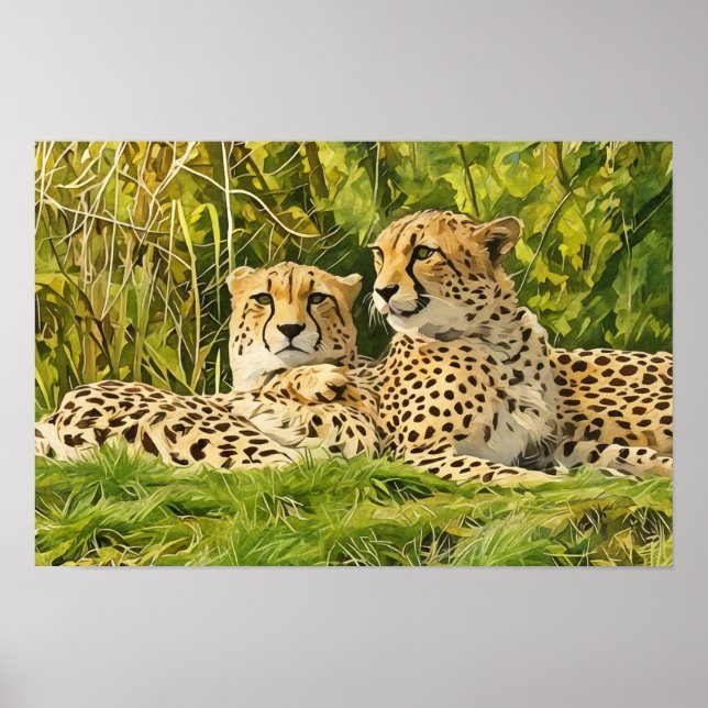 Poster Companheiros Chita - Descansando na Natureza" (Frente)