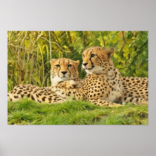 Poster Companheiros Chita - Descansando na Selvagem