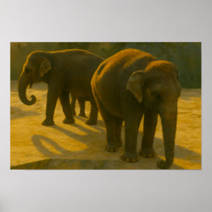 Poster Companheiros de ouro - Trio de Elefante na Luz Que