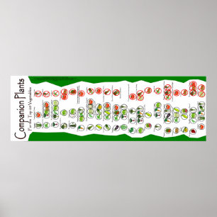 Póster Companion Plant Poster: As 20 maiores plantas de j