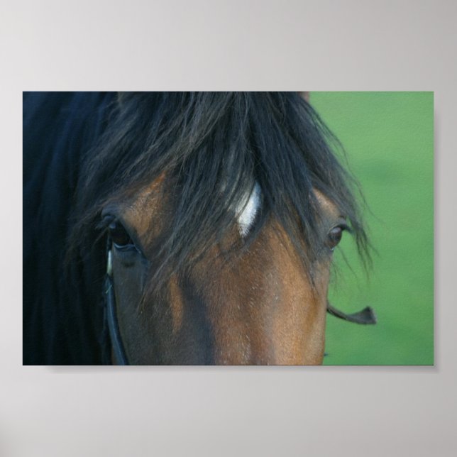 Poster Compartimento (Frente)