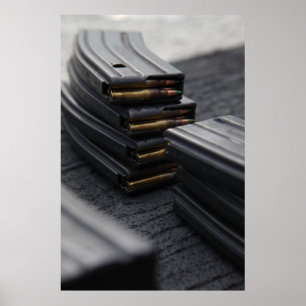 Póster Compartimentos do rifle