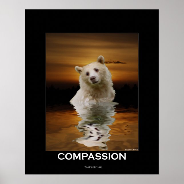 POSTER COMPASSION (Spirit Bear) (Frente)