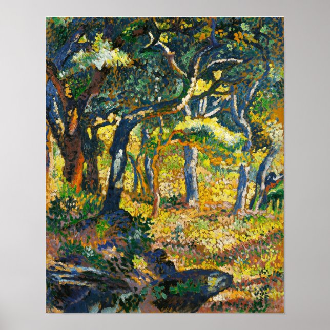 Poster Compensação De Proveniência (Frente)