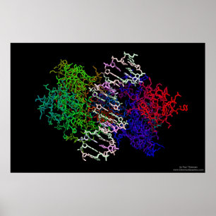 Póster Complexo de Proteína do DNA