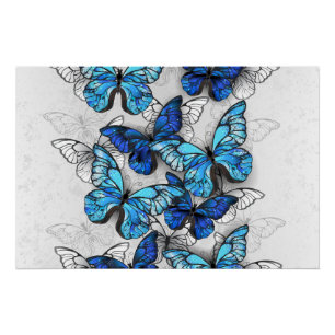 Póster Composition of White and Blue Butterflies