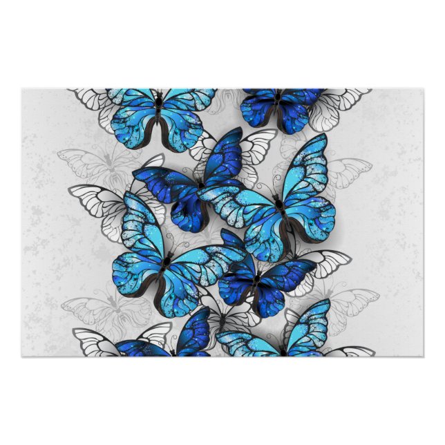 Póster Composition of White and Blue Butterflies (Frente)
