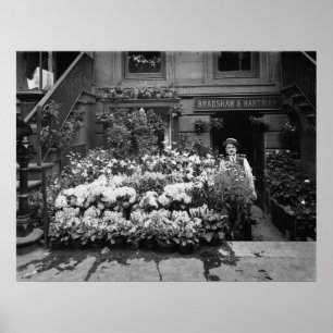 Póster Compro Flor