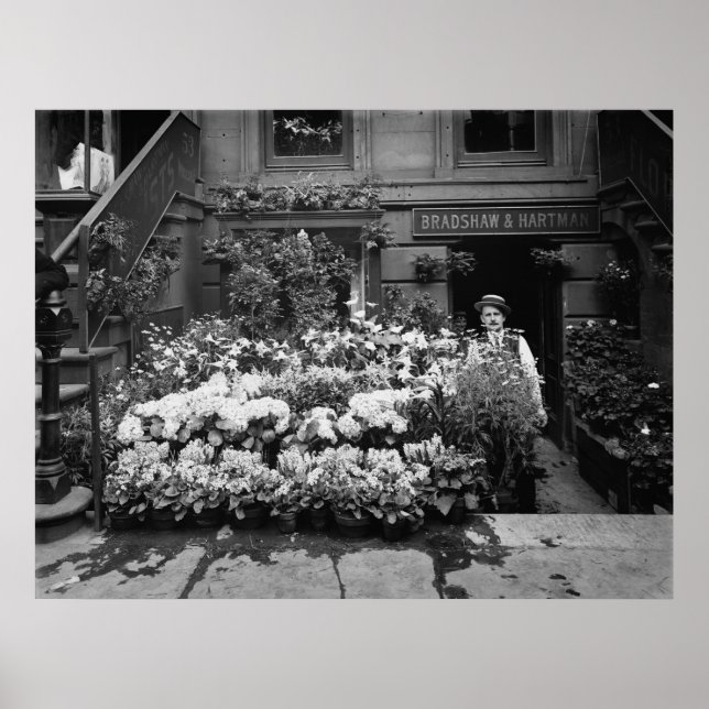 Póster Compro Flor (Frente)