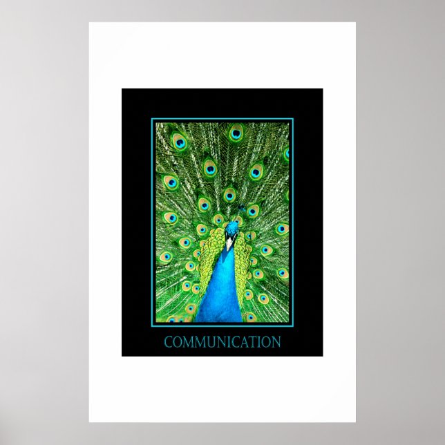 Póster Comunicação (Frente)