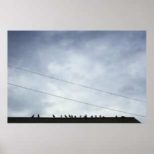 Poster Comunicações