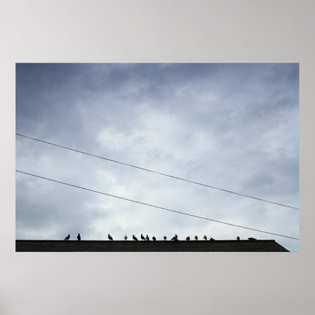 Poster Comunicações (Frente)