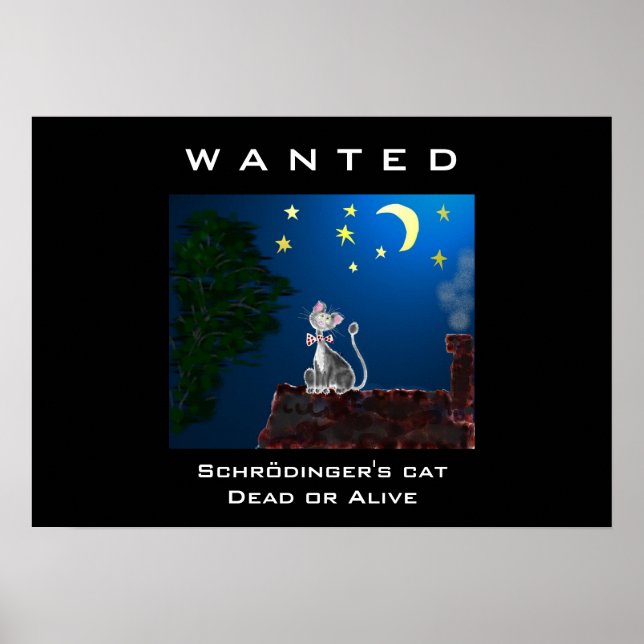 Poster Concebido (Frente)