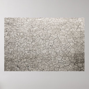 Poster Conceito de verme global - terra rachada e queimad