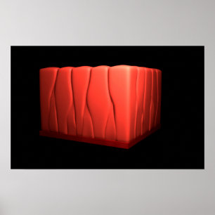 Poster Conceito do epitélio Columnar de Pseudostratified