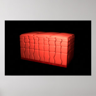 Póster Conceito do epitélio estratificado 1 de Squamous