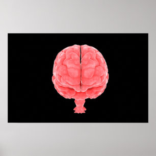 Póster Conceptual Image Of Human Brain 3