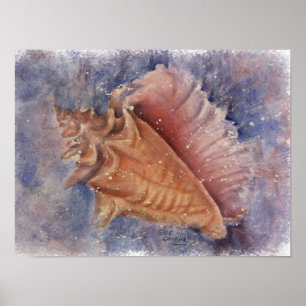 Poster Conch Beach Shell excepcional